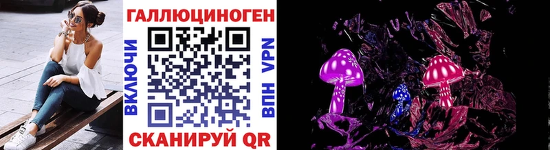 где купить наркотик Нефтекумск Псилоцибиновые грибы мицелий